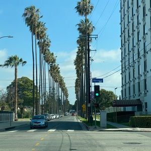 Meet your Posher, Jamil